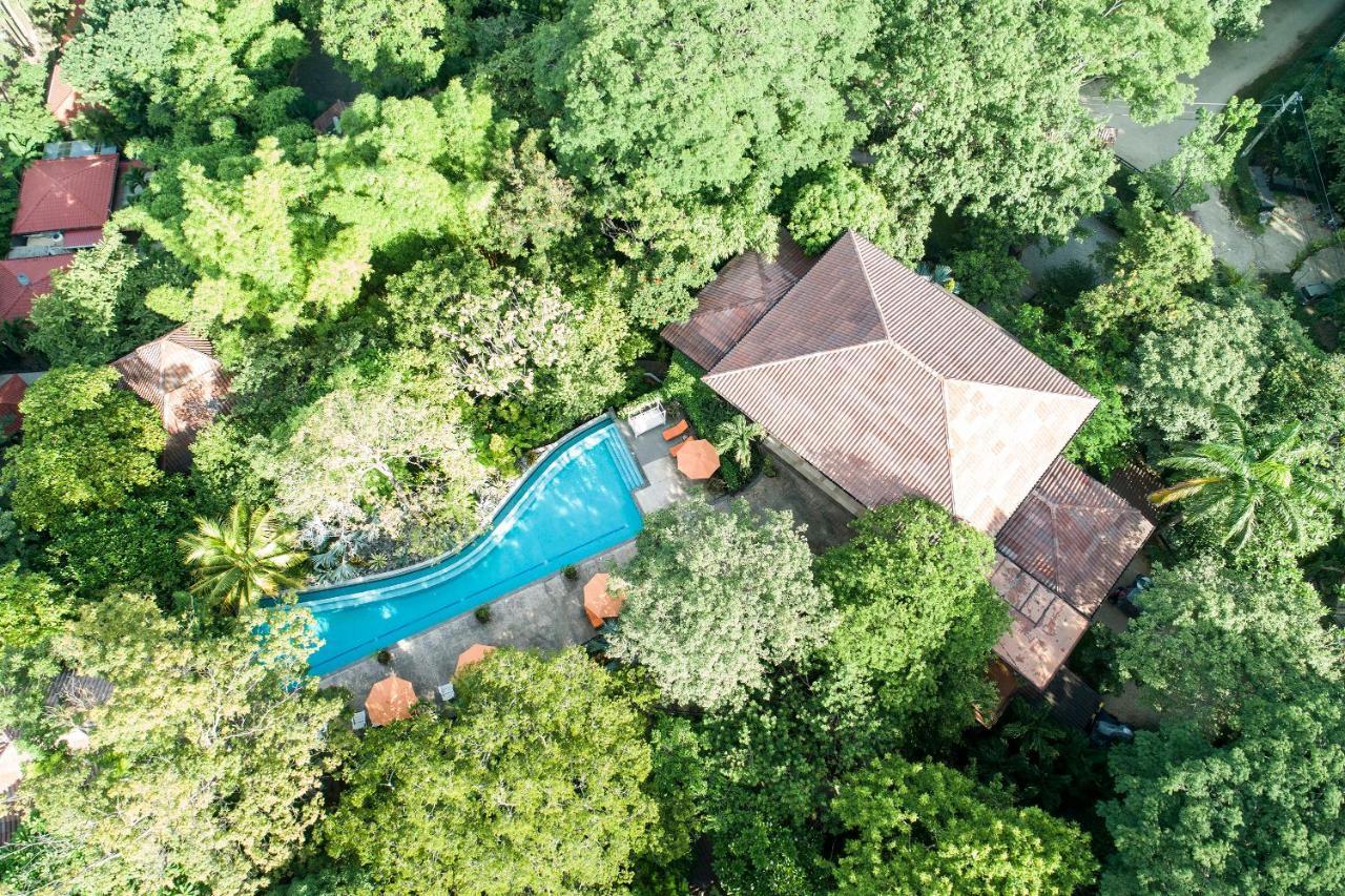 Bodhi Tree Yoga Resort Nosara Buitenkant foto