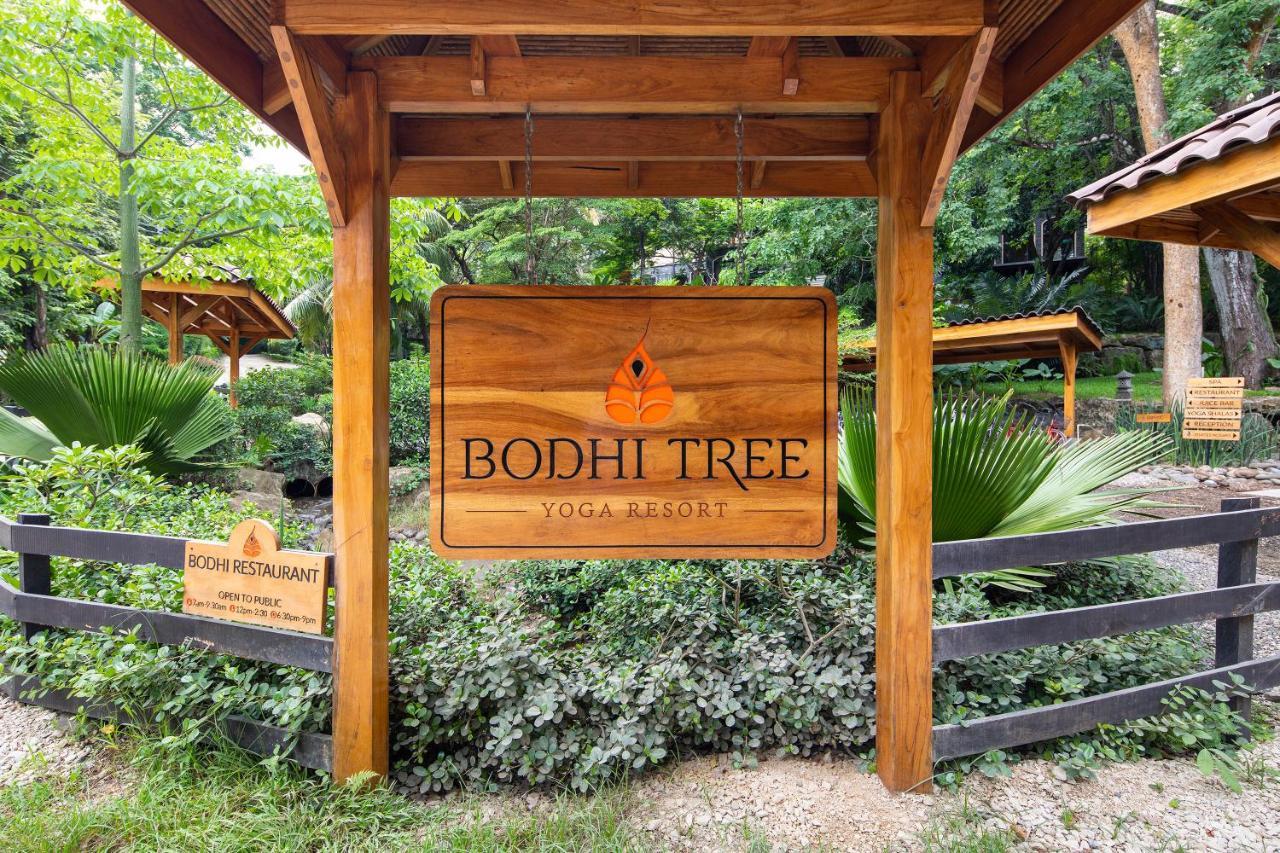 Bodhi Tree Yoga Resort Nosara Buitenkant foto