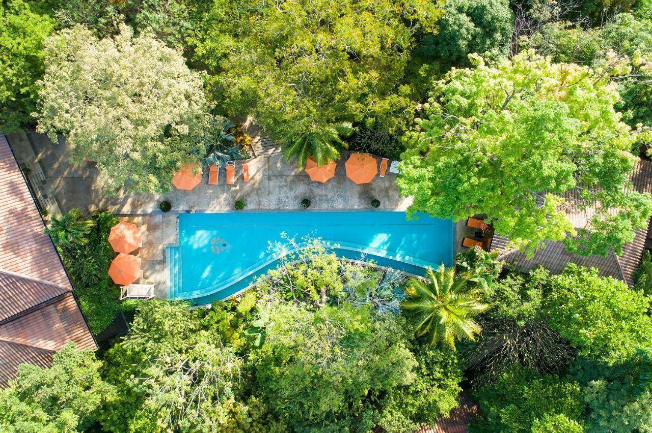 Bodhi Tree Yoga Resort Nosara Buitenkant foto